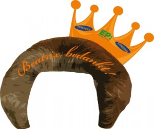 Koninginnedag-haarkroon
